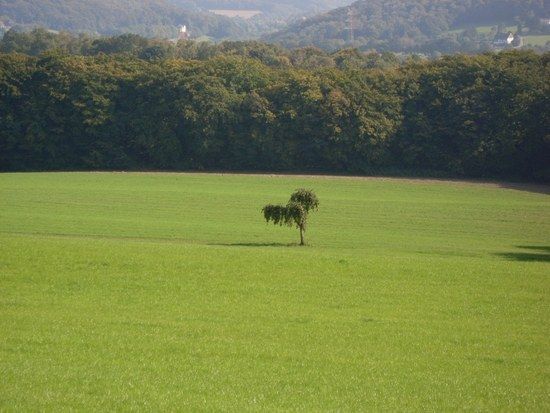 IrgendwoinEssen