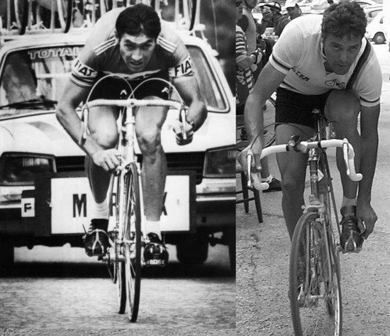 eddy menis