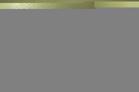  DSC0005-01