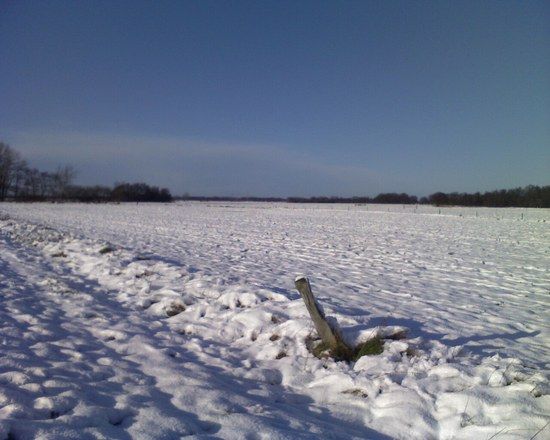 Foto 112208 005
