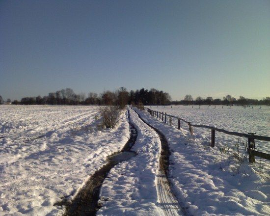 Foto 112208 011