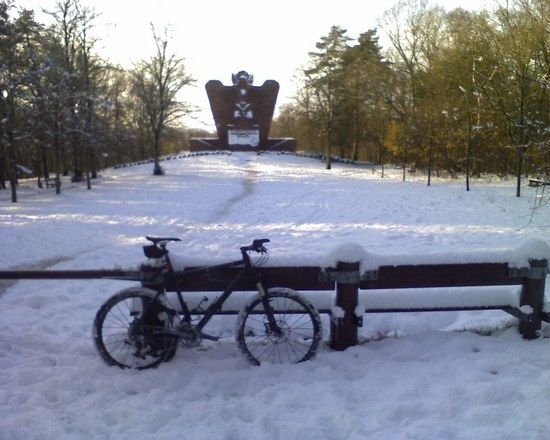 Niedersachsenstein im Schnee