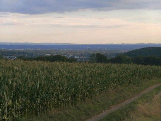 Weitsicht