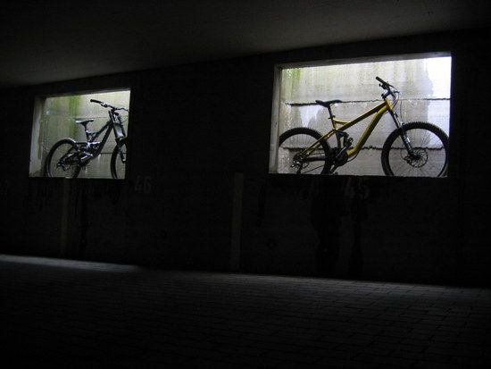 IMG 6391