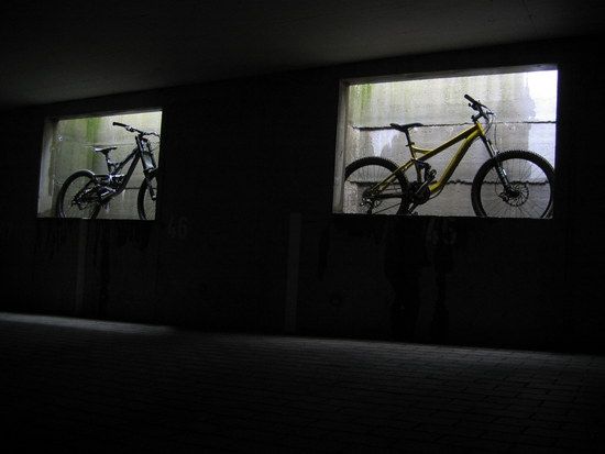 IMG 6392