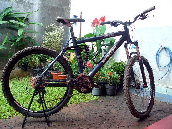 Wheeler Hornet 40