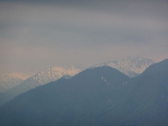 P1000350