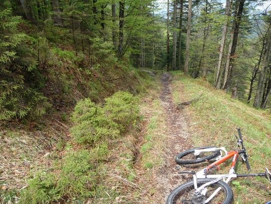 Trail mit Kona