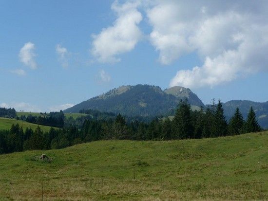 P1010659