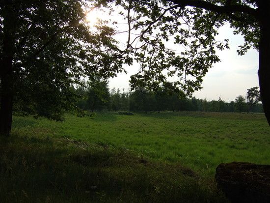DSCF2737