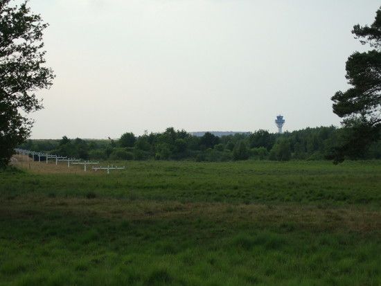DSCF2741