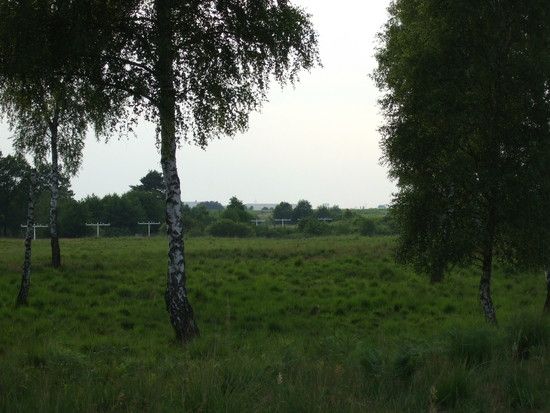 DSCF2745