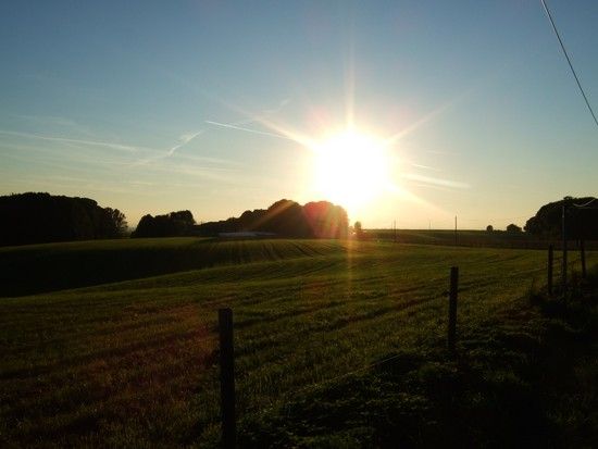 DSCF3677 1286822364