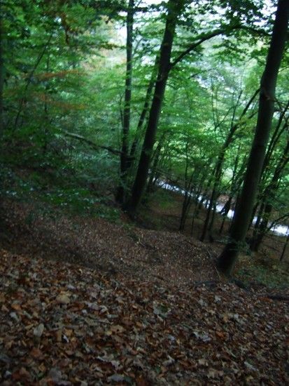 DSCF3738