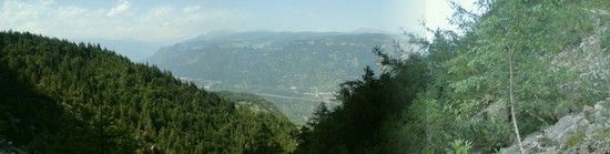 DSC00555