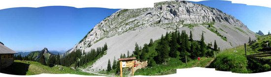 2006-07-18 050 Pilatus Alp Laubi