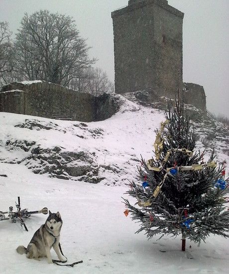 4. Advent 