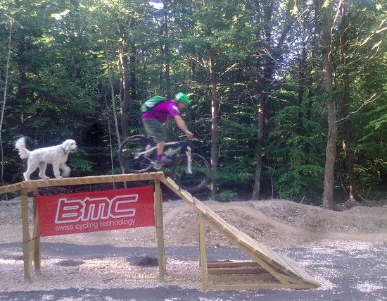 29er flowtrail lotte