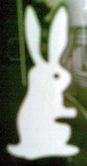 Pil.Bunny