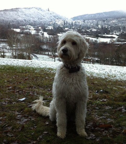 winterliches biking mit Lotte