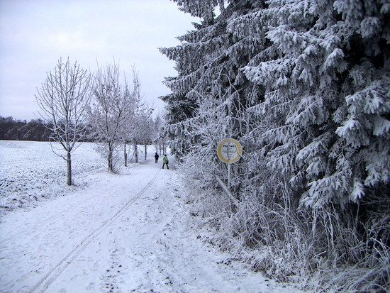 2009 pict010