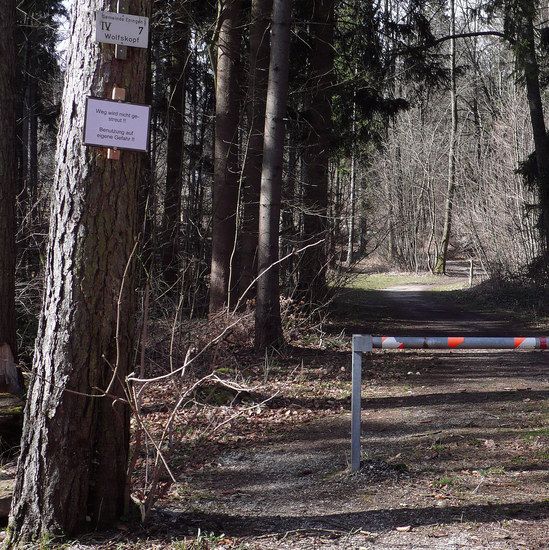 Waldweg-nicht_gestreut_nicht_geraeumt