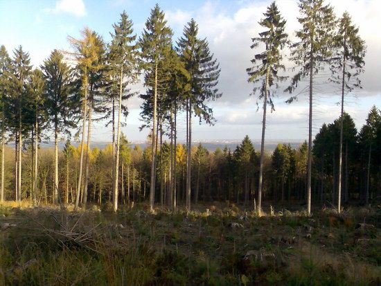 Deister,12.11.2008
