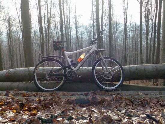 Deister,28.11.08