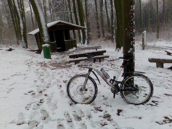 Taternpfahl 30.11.08