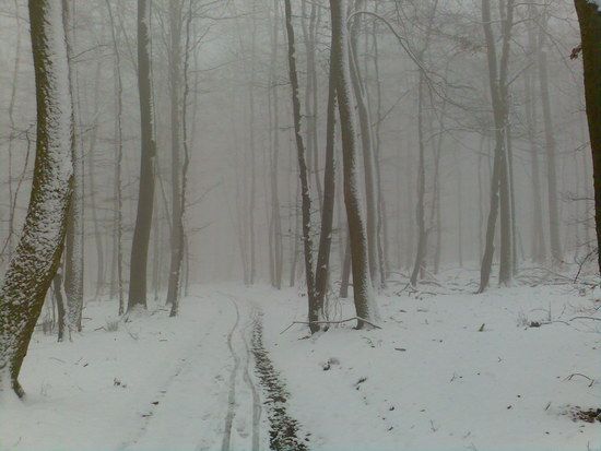 30.11.08,Deister