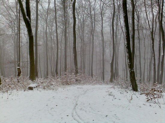 30.11.08,Deister