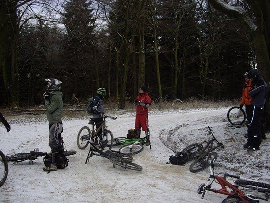 Laube.03.01.09