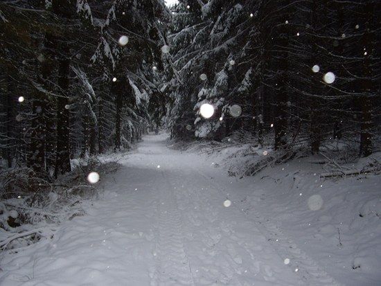 DeisterBike,07.01.09