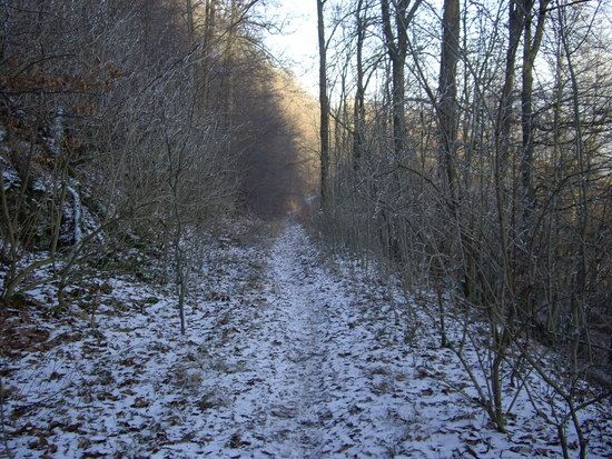 DeisterBiken007