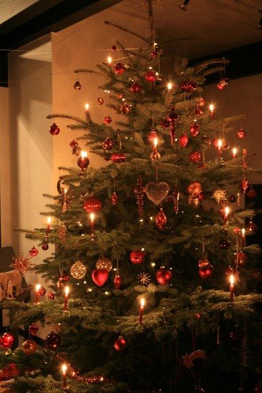 Baum 1
