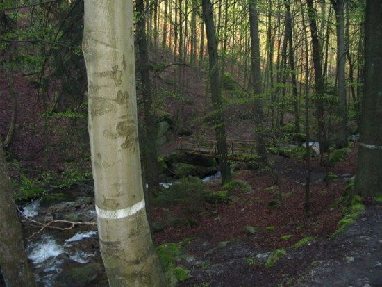 Tour3-Brocken-Ilse