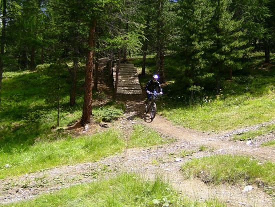 Mottolini Bikepark Livigno