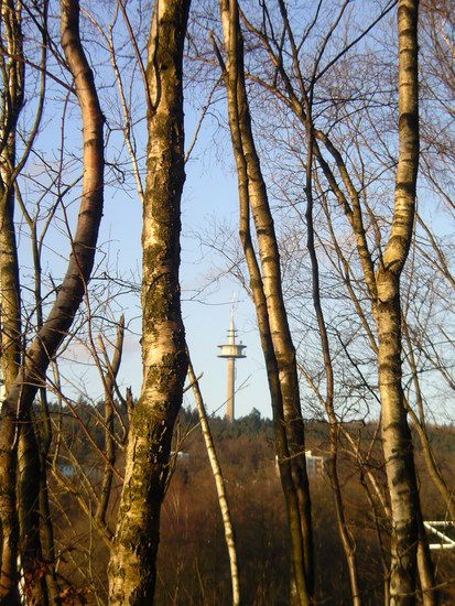 Mulleklenkes
