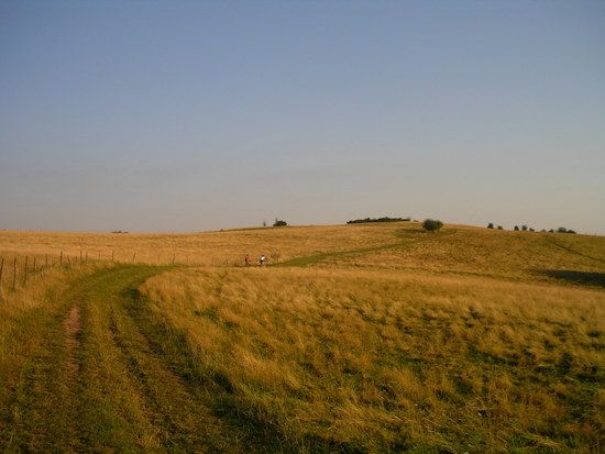OberhalbderWeinberge
