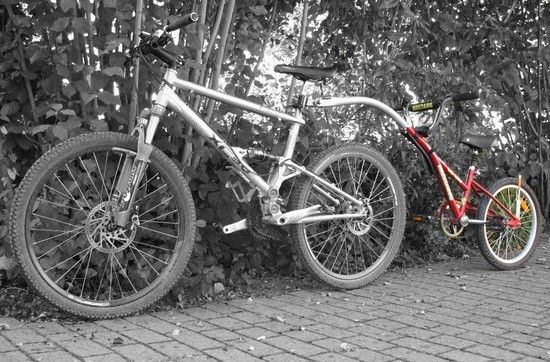 07-09TrailerbikeIMG 9425