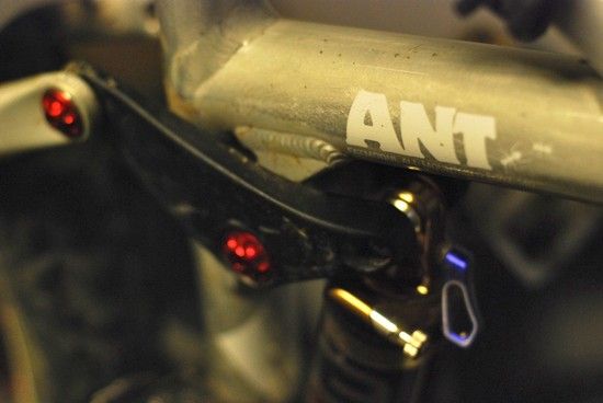 Antwickler12