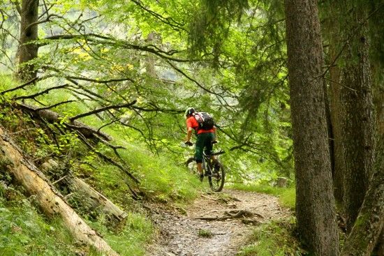 Aufbaubikes Rahmen - Teil 1 TS 25