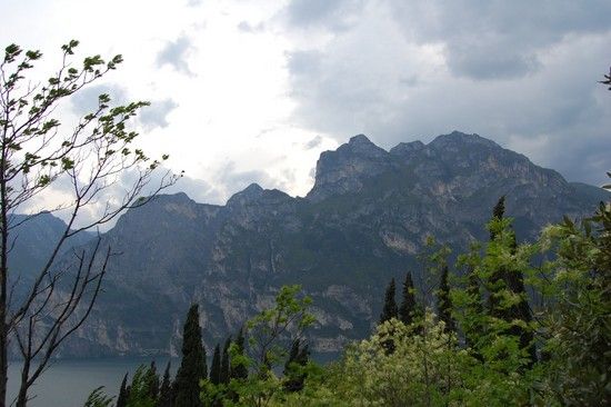 DSC 0180