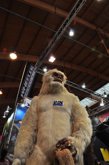 Yeti!