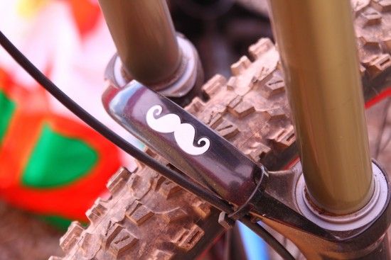 Rock Shox Boxxer Schnurbart