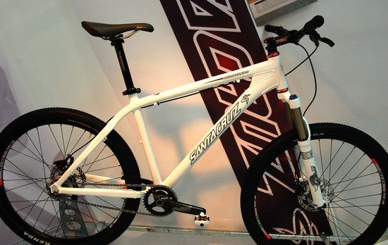 Santa Cruz Chameleon