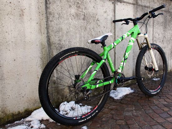 Santa Cruz Chameleon 1