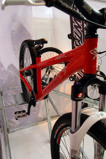 Santa Cruz Jackal1
