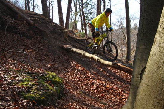 ibis mojo hd 14