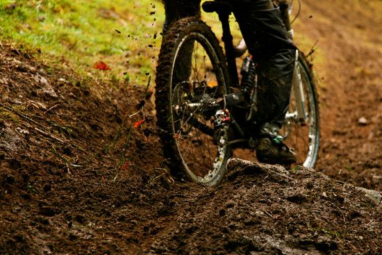 labresse 2011 nuts 04